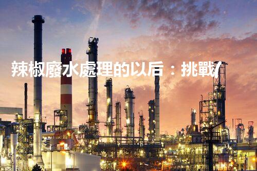 辣椒廢水處理的以后：挑戰(zhàn)與機(jī)遇并存！